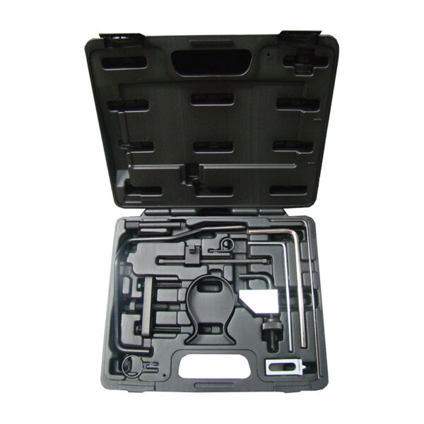 CONJUNTO DE REGLAJE DIESEL - GRUPO PSA DW10/DW12, 2.0 / 2.2 HDI