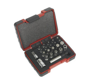 JUEGO DE PUNTAS TORX PLUS