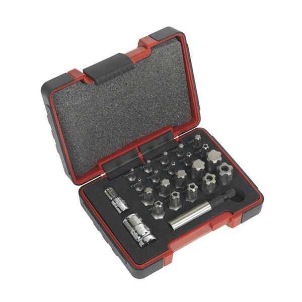 JUEGO DE PUNTAS TORX PLUS